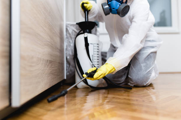 Best Flea Control Services  in Easton, PA