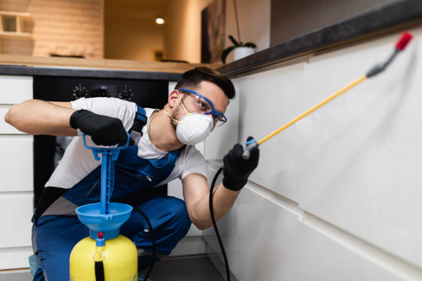 Best Rat Extermination Near Me  in Easton, PA