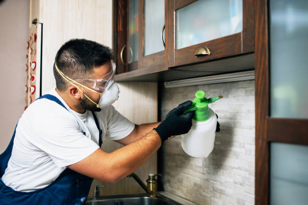 Best Local Pest Control Services  in Easton, PA