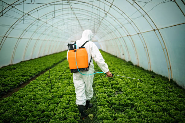 Best Affordable Pest Control Services  in Easton, PA