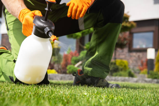 Trusted Easton, PA Pest Control Experts