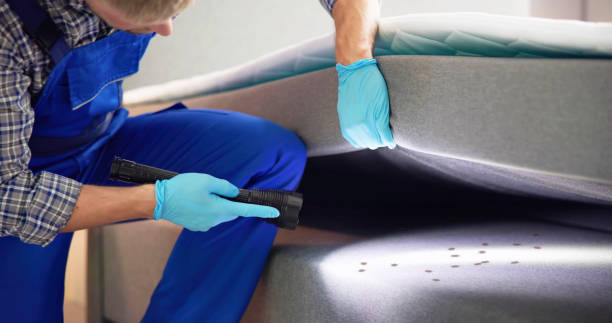 Best Termite Control Services  in Easton, PA