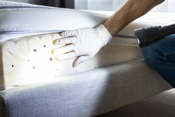 Best Pest Control Cost  in Easton, PA