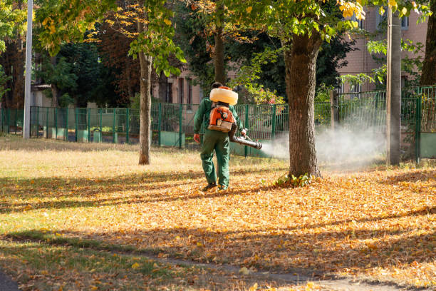 Best Pest Removal Services  in Easton, PA