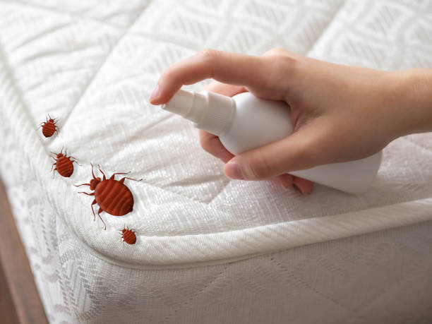 Best Pest Control Near Me  in Easton, PA