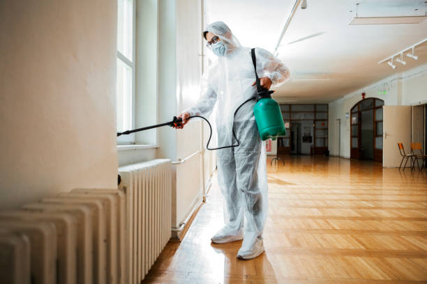 Best Emergency Pest Control  in Easton, PA