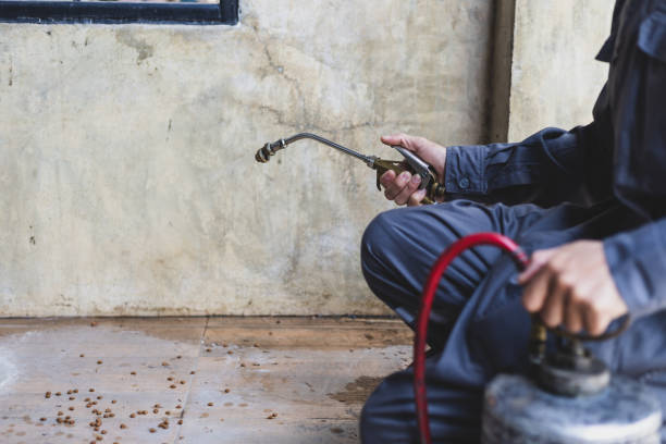 Best Pest Prevention Services  in Easton, PA